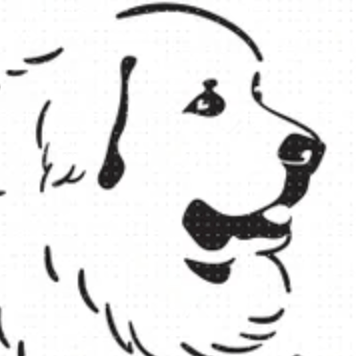 Great Pyrenees puppies for sale